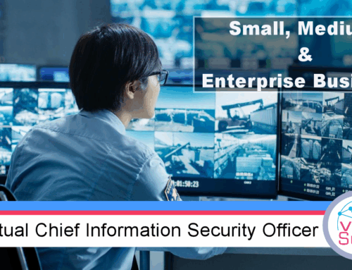 Role of the vCISO